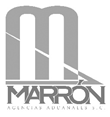 Marron Agencias Aduanales SC Logo